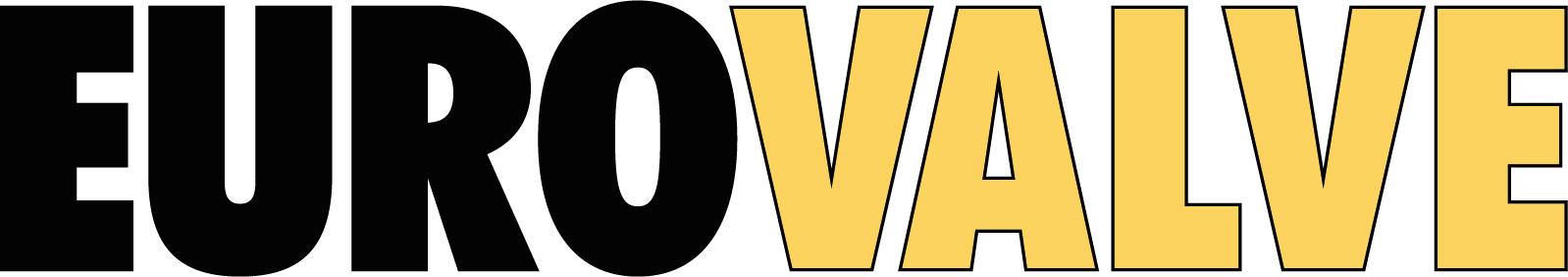 Eurovalve Logo